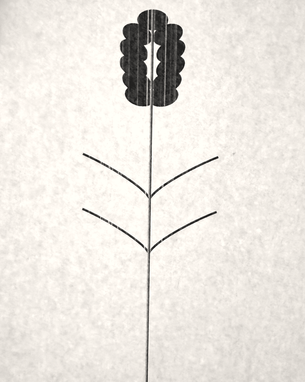 The printed pattern held to a window, a single stem of lavender reversed for graphite transfer