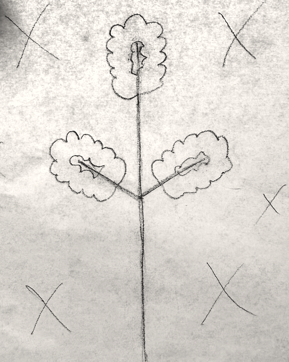 The graphite tracing of the stem, with X marks showing which areas to carve away