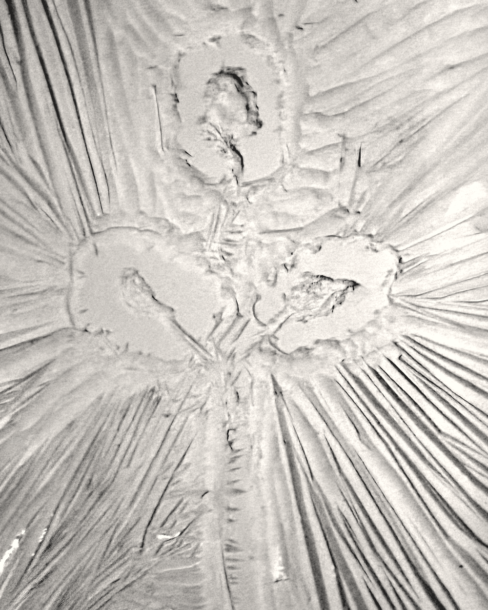 The carved linoleum plate, the stem surrounded by radiating cut marks